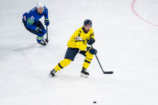 Jan Drozg of Slovenia and Adam Larsson of Sweden