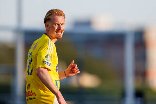 Falkenbergs Linus Borgström