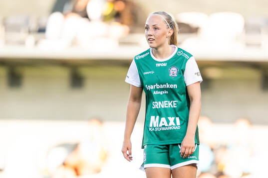 Alingsås Saga Fredgren