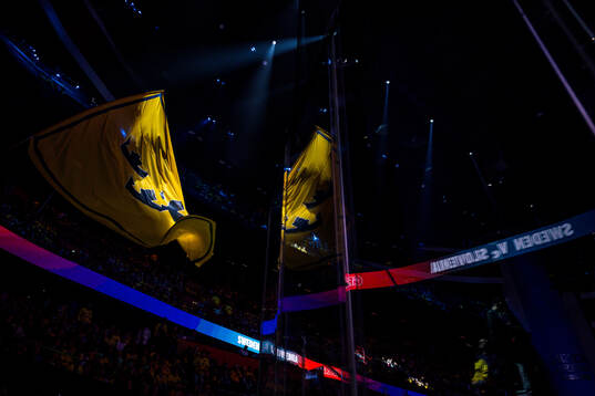 A Swedish flag