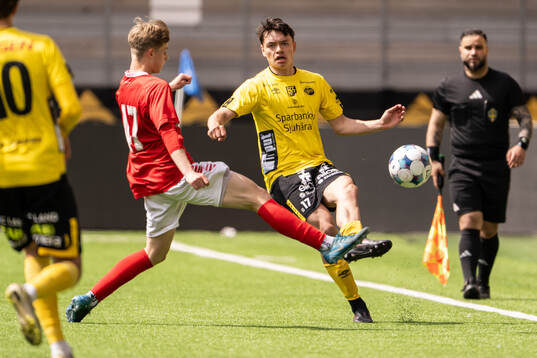 Elfsborgs Dag Hallgren