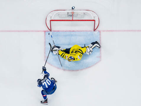 Baptiste Bruche of France and goaltender Samuel Ersson of
