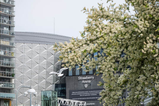 Exteriör vy över Strawberry Arena