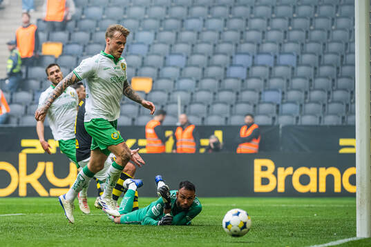 Hammarbys målvakt Warner Hahn