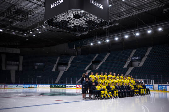 Players and coaching staff of Sweden pose for a team photo