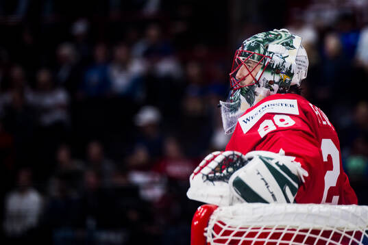 Goaltender Marc-André Fleury of Canada