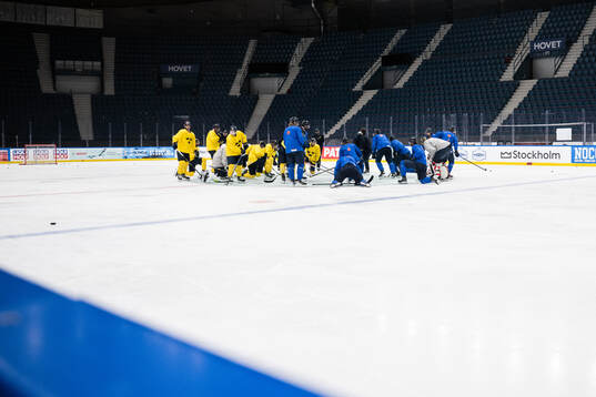 Players of Sweden at a practice session