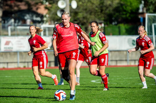 Elise Boman