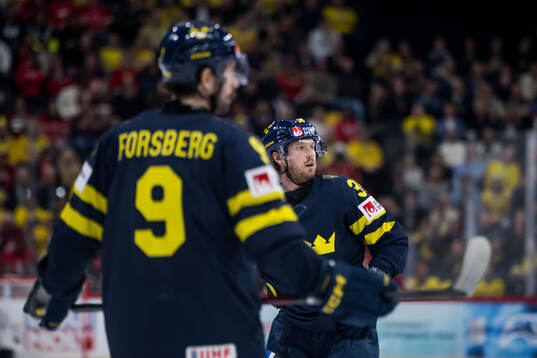 Filip Forsberg and Rasmus Sandin of Sweden look dejected