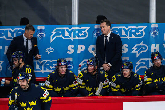 Head coach Sam Hallam of Sweden