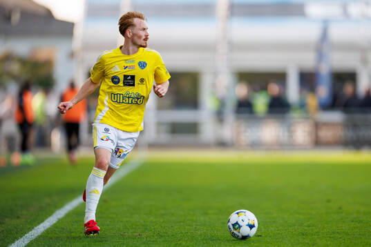 Falkenbergs Linus Borgström