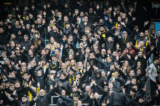 AIKs supportrar