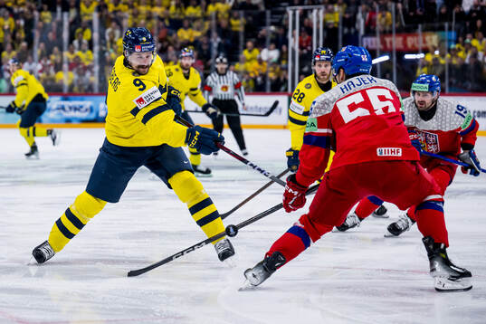 Filip Forsberg of Sweden and Libor Hajek of Czech Republic