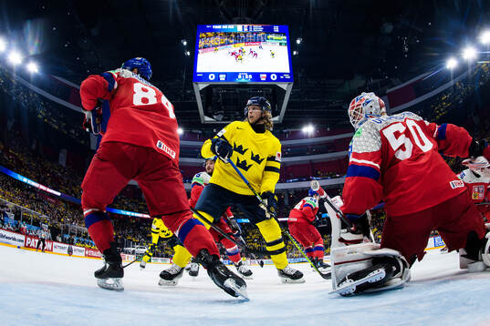 Tomas Kundratek and goaltender Karel Vejmelka of Czech