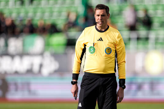 Domare Magnus Lindgren