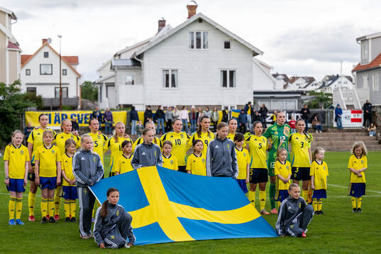 Sveriges spelare vid line-up