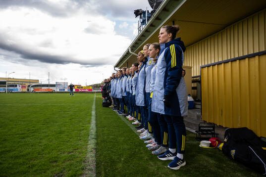 Sveriges ledare och avbytare