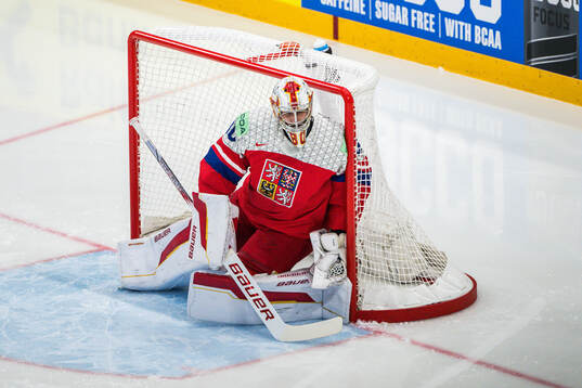 Dan Vladar of Czech Republic
