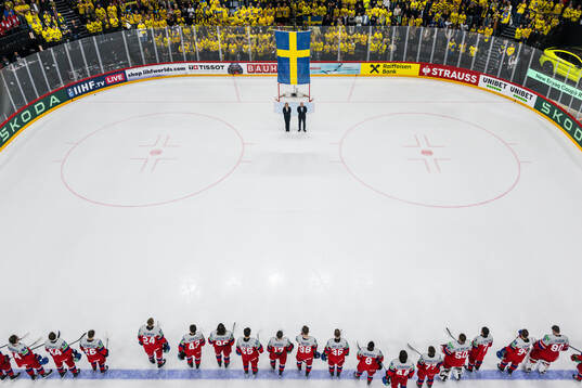 Players of of Czech Republic as the Swedish flag is raised