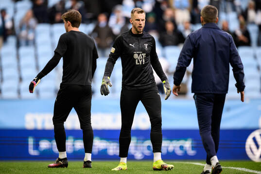 Malmö FFs Ricardo Friedrich