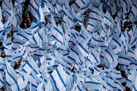 Malmö FFs supportrar