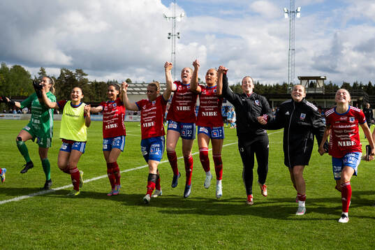 Vittsjös spelare jublar