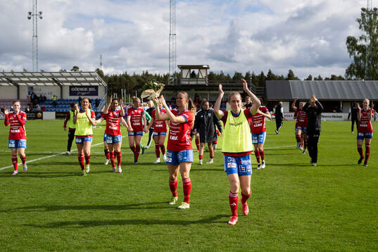 Vittsjös spelare jublar