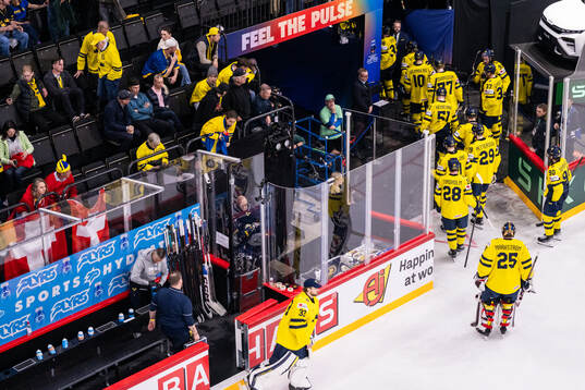 Players of Sweden looks dejected