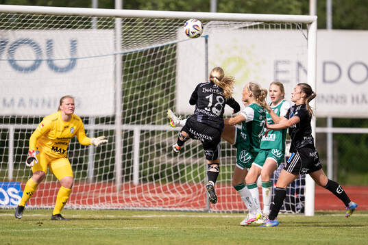 Kamp i Alingsås straffområde
