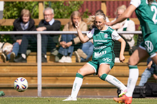 Alingsås Saga Fredgren