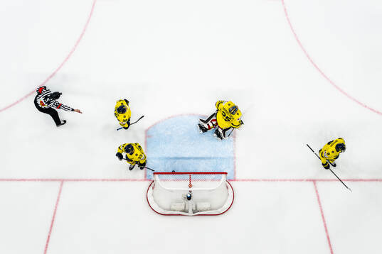 Rasmus Sandin, Isac Lundeström, goaltender Jacob