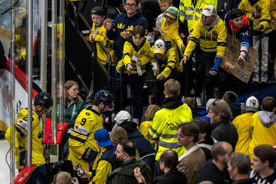 Lucas Raymond and Filip Forsberg of Sweden look dejected