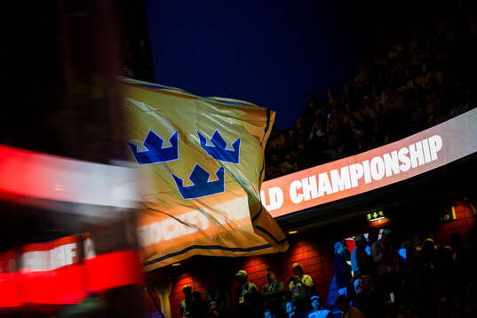 A Swedish flag