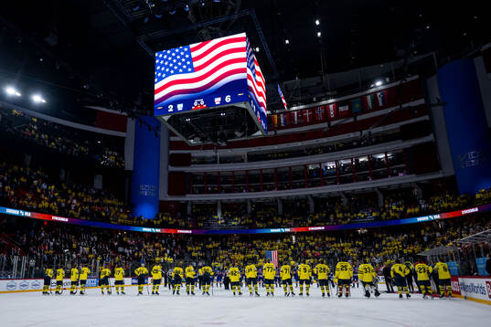 Players of Sweden