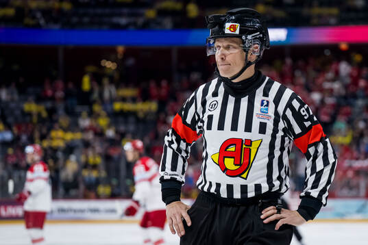 Referee Jan Hribik