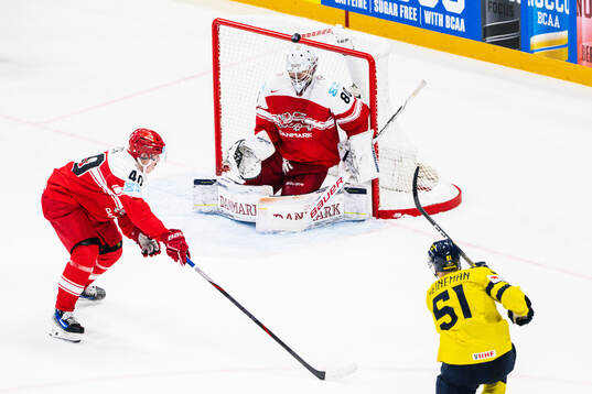 goaltender Frederik Dichow of Denmark and Emil Heineman of