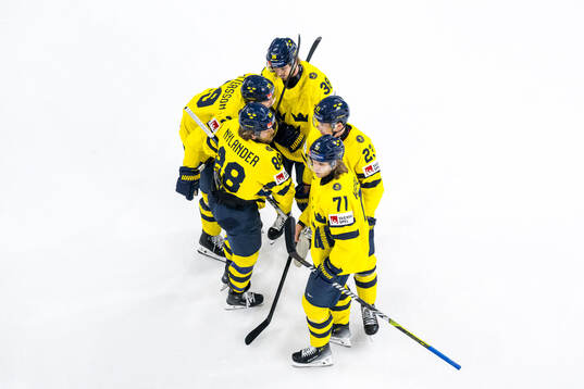William Nylander, Marcus Pettersson, Rasmus Sandin, Lucas