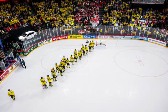 Players of Sweden