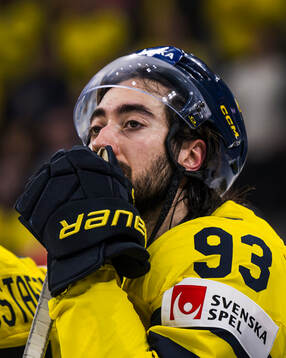 Mika Zibanejad of Sweden looks dejected