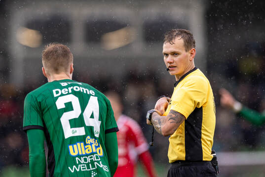 Domare Fredrik Alknäs