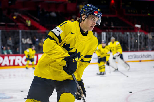 Leo Carlsson of Sweden