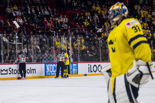Referees Sean MacFarlane and Andris Ansons
