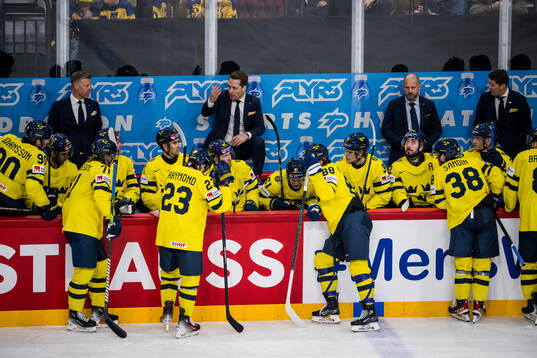 Head coach Sam Hallam of Sweden