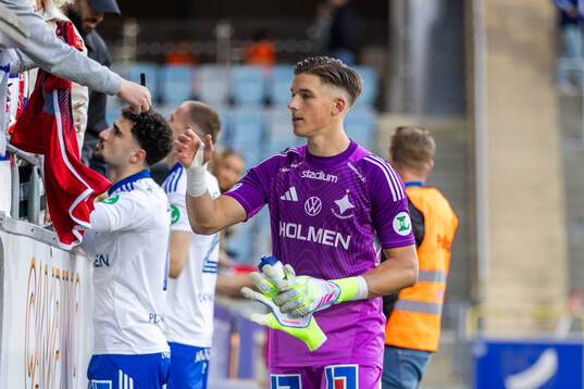 IFK Norrköpings målvakt David Andersson
