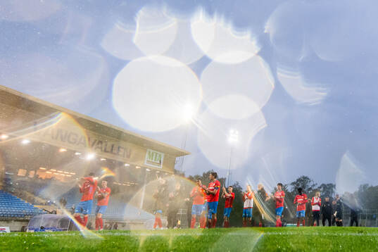 Helsingborgs spelare deppar