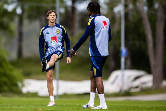 Bläddra bland fler bilder av Football, Sweden, Training