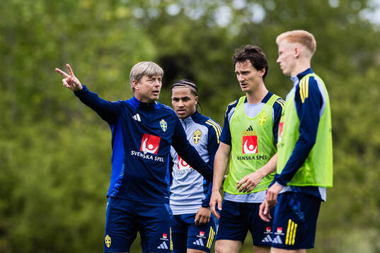 Head coach Jon Dahl Tomasson, Momodou Sonko, Hjalmar Ekdal