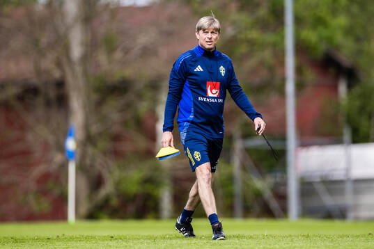 Head coach Jon Dahl Tomasson of the Swedish men's national