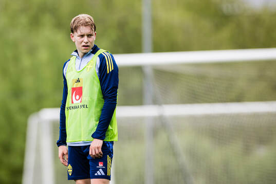 Daniel Svensson of the Swedish men's national football team