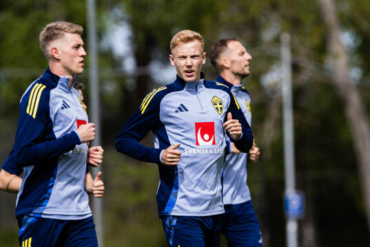 Hugo Larsson of the Swedish men's national football team